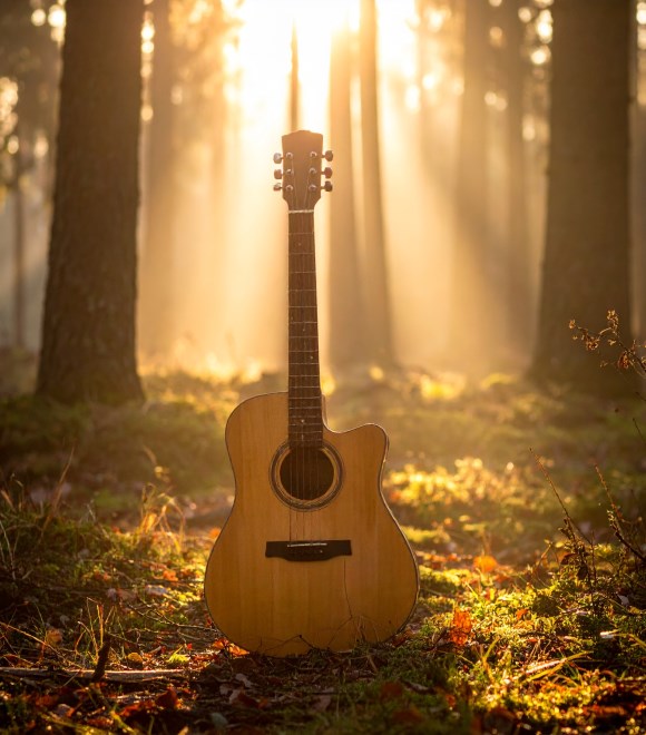 Voci e chitarre nella Notte